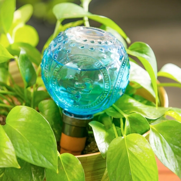 Barbara King Plant Glass Globe Watering / Mister - Picture 5 of 6